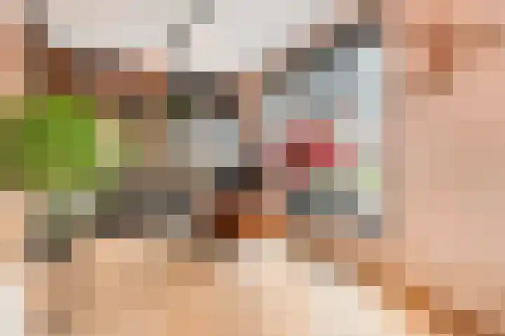 Fazantlande 1 Pijnacker thumbnail 31