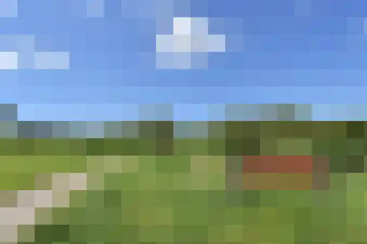 Fazantlande 1 Pijnacker thumbnail 75