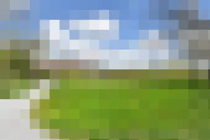 Fazantlande 1 Pijnacker thumbnail 76