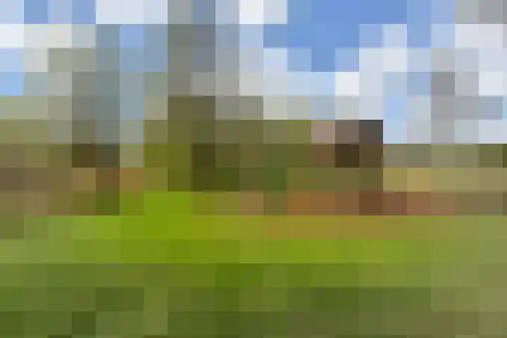 Fazantlande 1 Pijnacker thumbnail 78