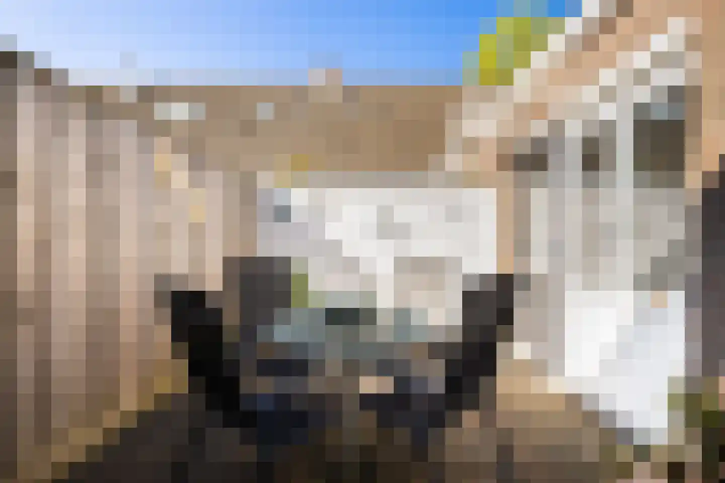 Fazantpad 29 Soest thumbnail 10