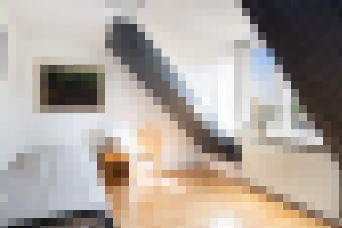 Fazantpad 29 Soest thumbnail 18