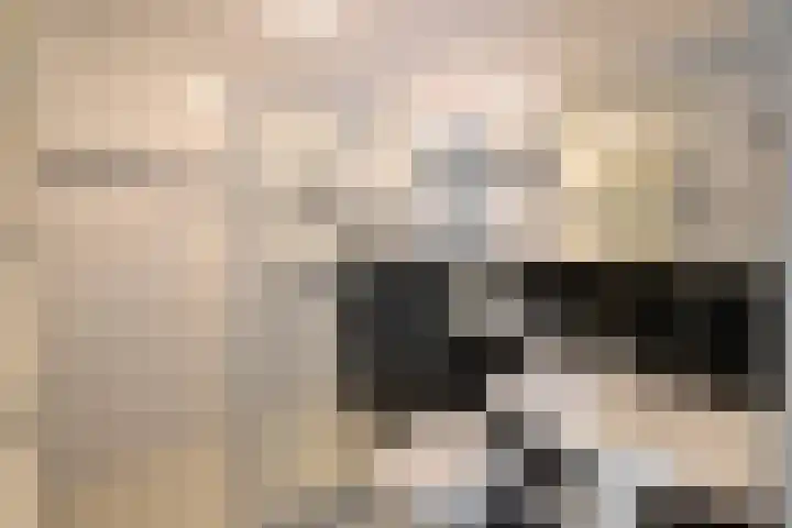 Fazantpad 3 Soest thumbnail 10