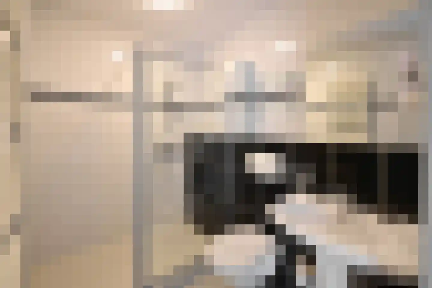 Fazantpad 3 Soest thumbnail 10