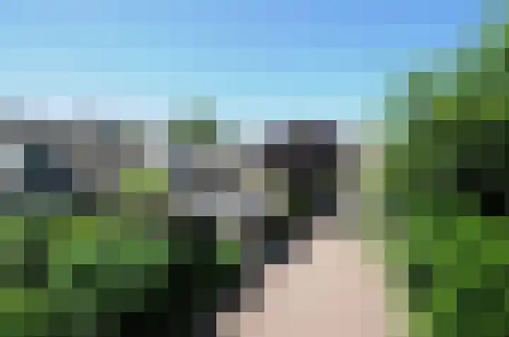 Fazantpad 3 Soest thumbnail 13