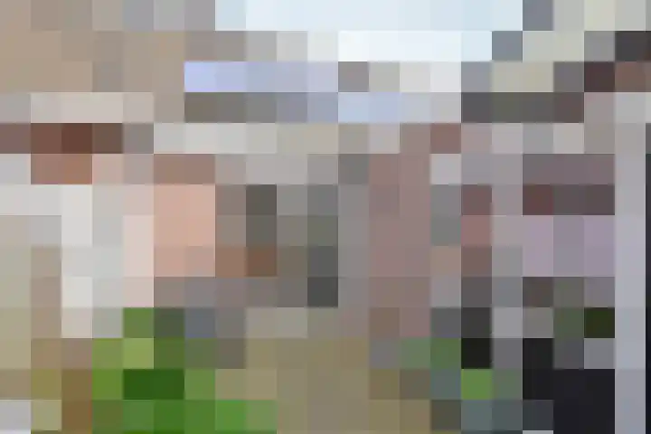 Fazantpad 3 Soest foto 3
