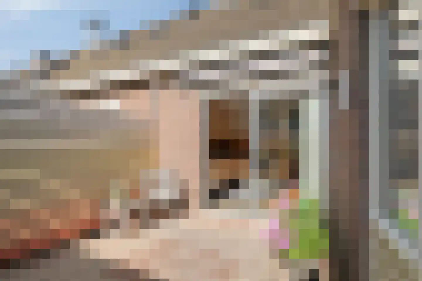 Fazantpad 62 Soest thumbnail 26