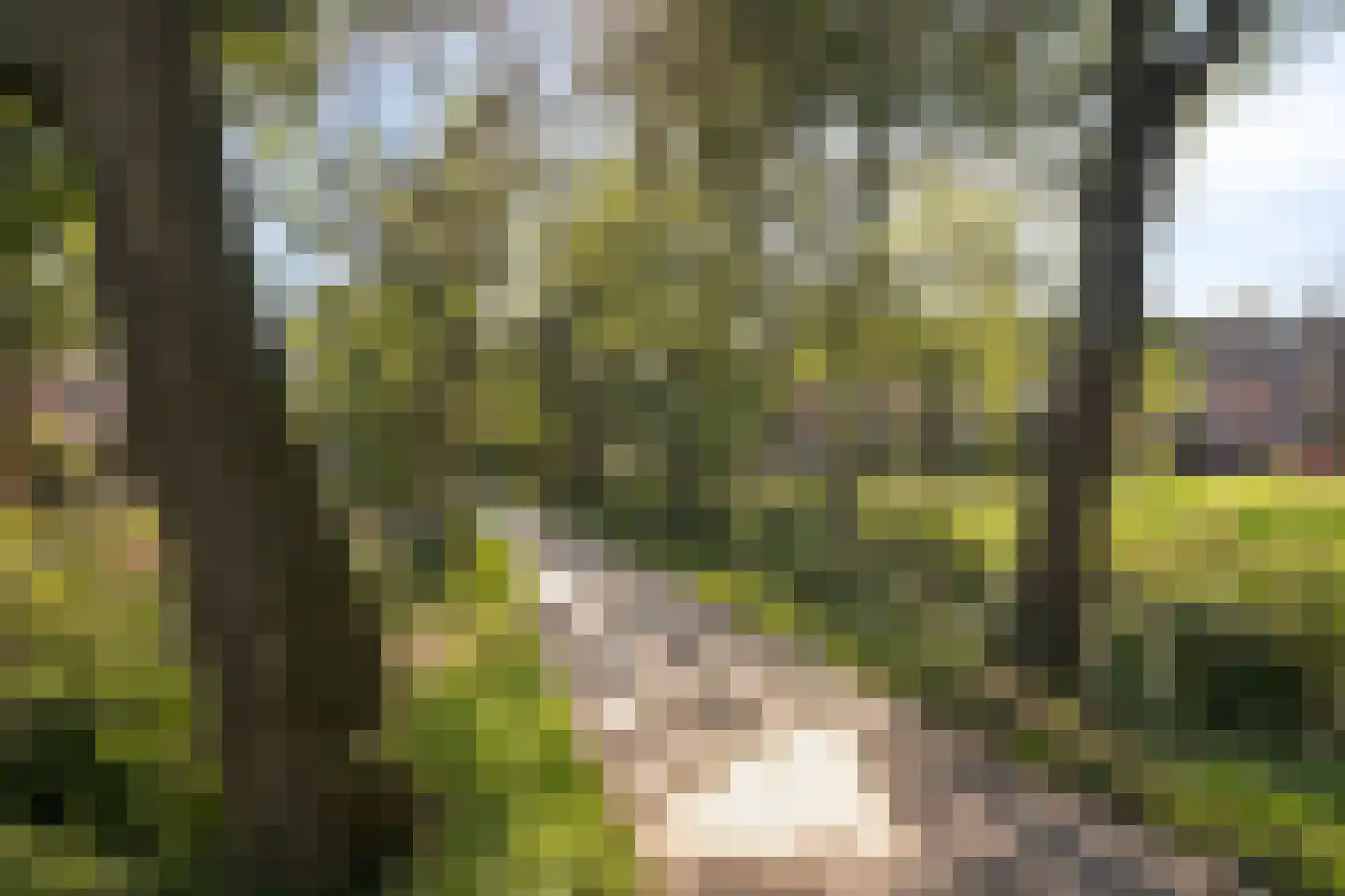 Fazantpad 62 Soest thumbnail 32