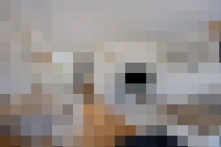 Fazantplein 11 Sliedrecht thumbnail 11