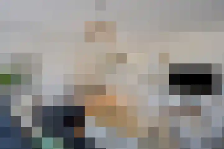 Fazantplein 11 Sliedrecht thumbnail 12