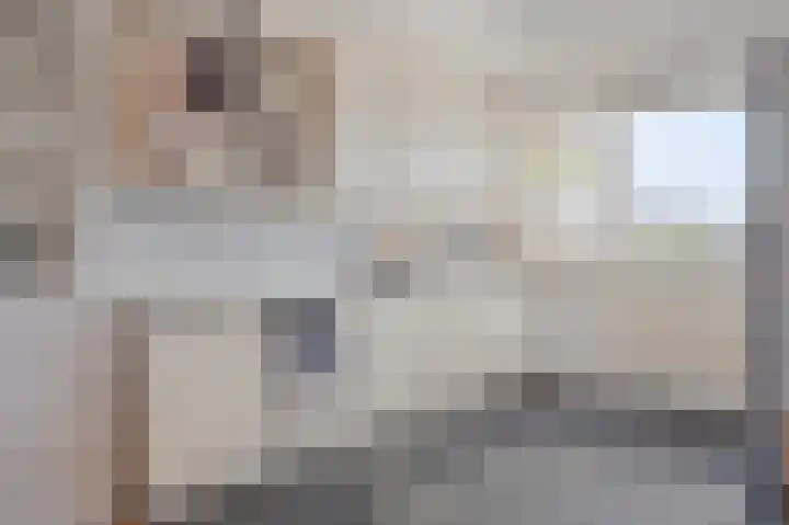 Fazantplein 11 Sliedrecht thumbnail 15