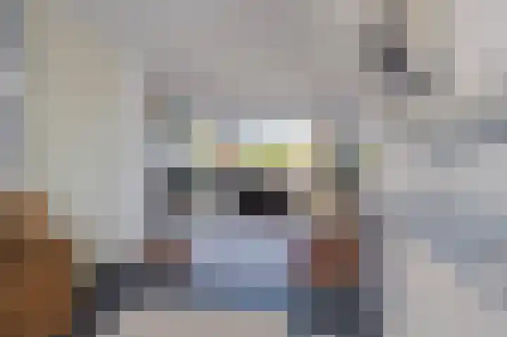 Fazantplein 11 Sliedrecht thumbnail 16