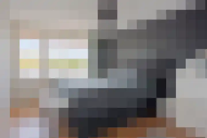 Fazantplein 11 Sliedrecht thumbnail 18