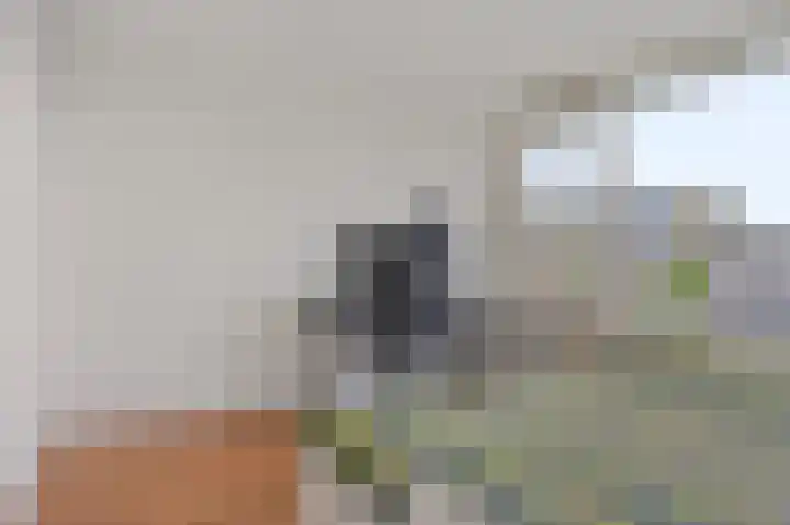 Fazantplein 11 Sliedrecht thumbnail 23