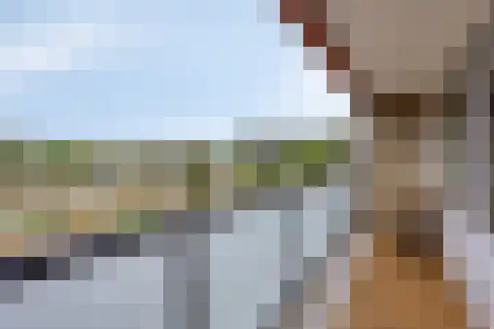Fazantplein 11 Sliedrecht thumbnail 27