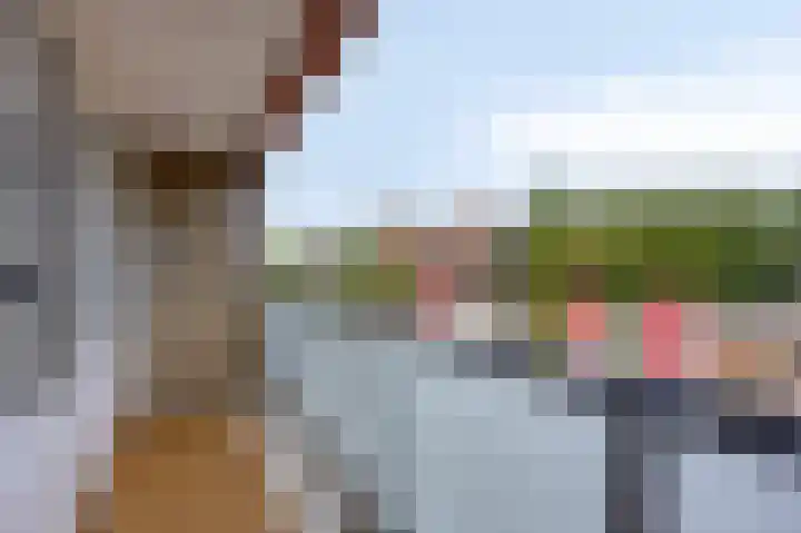 Fazantplein 11 Sliedrecht thumbnail 28