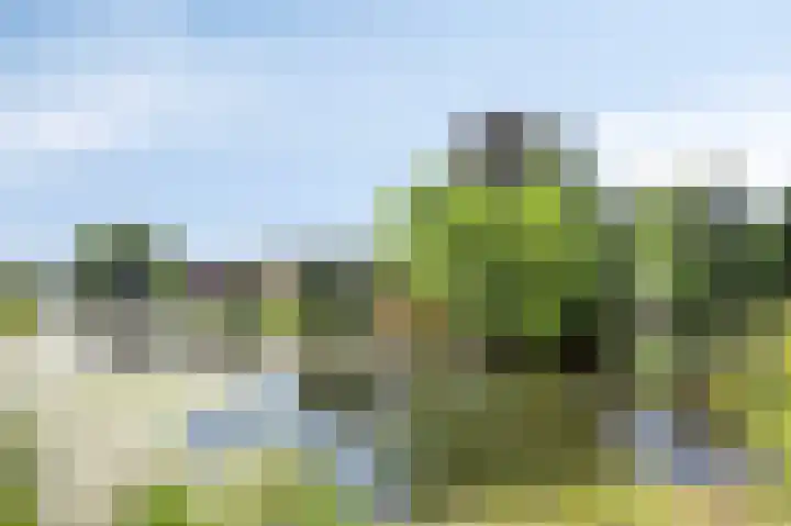 Fazantplein 11 Sliedrecht thumbnail 33