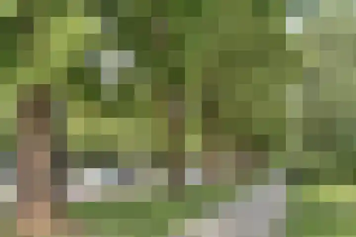 Fazantplein 11 Sliedrecht thumbnail 34