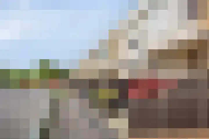 Fazantplein 11 Sliedrecht thumbnail 4