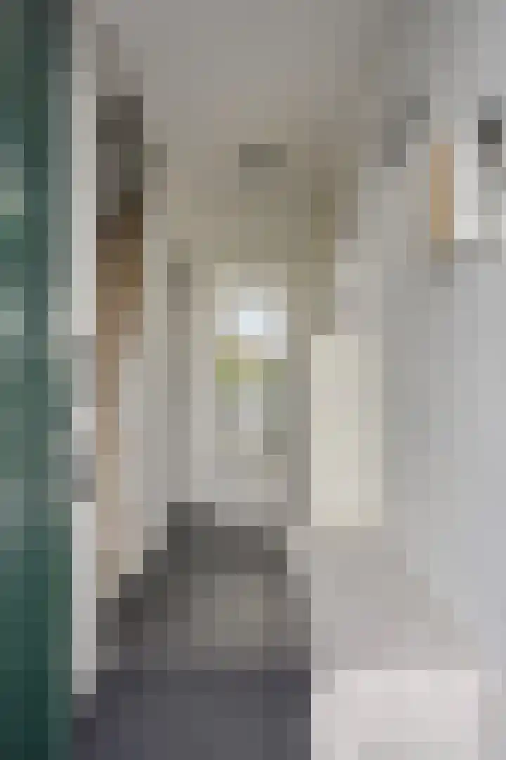 Fazantplein 11 Sliedrecht thumbnail 8