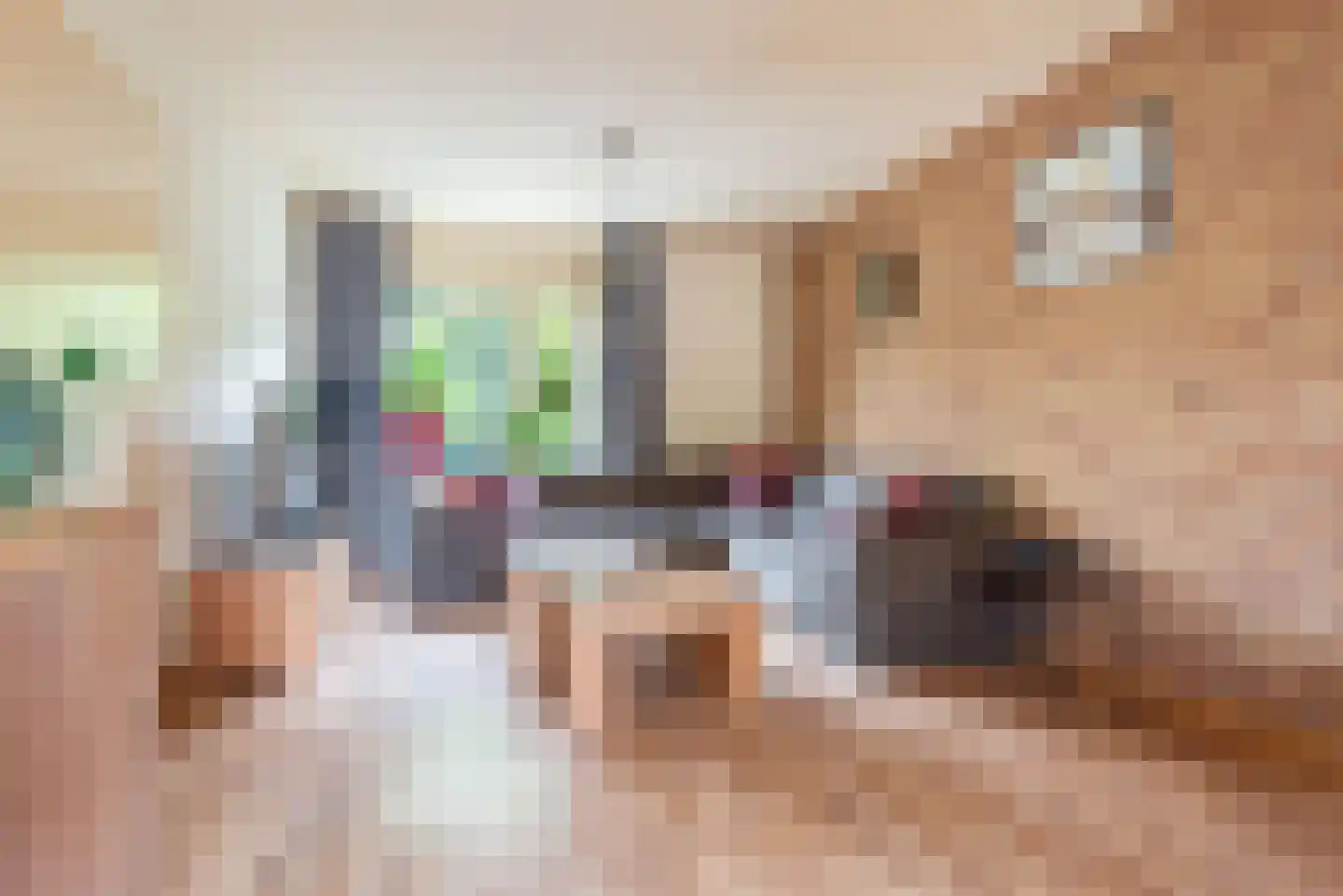 Fazantplein 33 Silvolde thumbnail 10