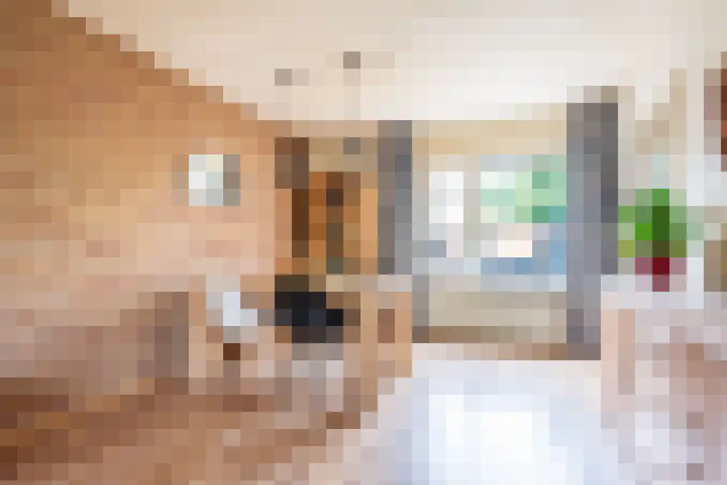 Fazantplein 33 Silvolde thumbnail 11