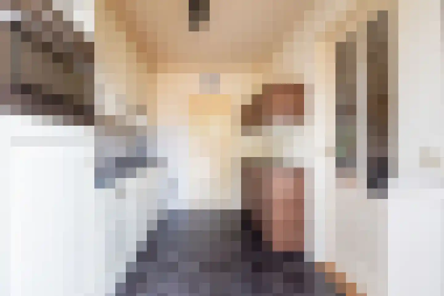 Fazantplein 33 Silvolde thumbnail 12