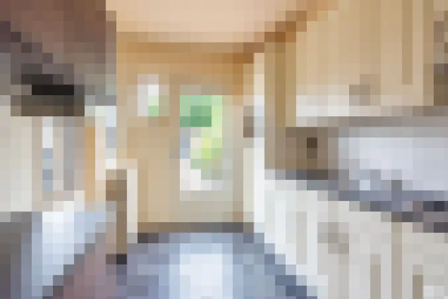 Fazantplein 33 Silvolde thumbnail 13