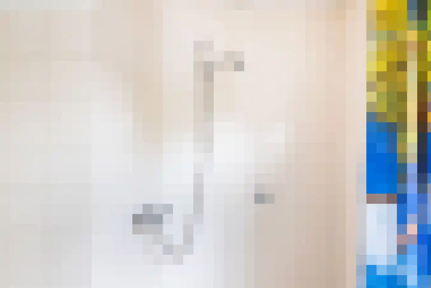 Fazantplein 33 Silvolde thumbnail 19