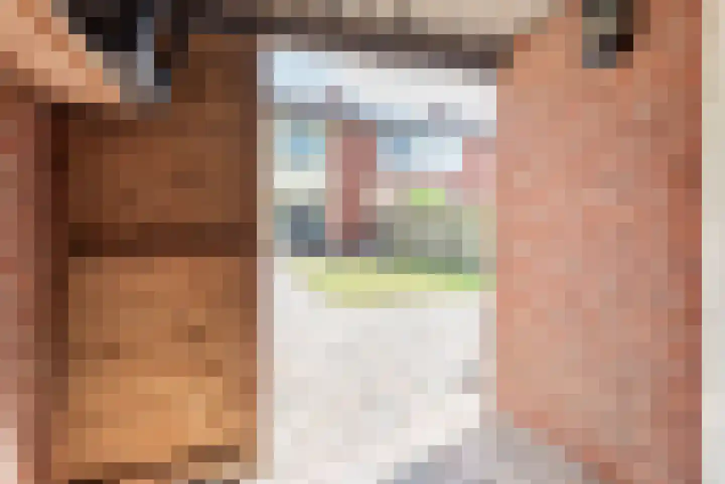 Fazantplein 33 Silvolde thumbnail 32