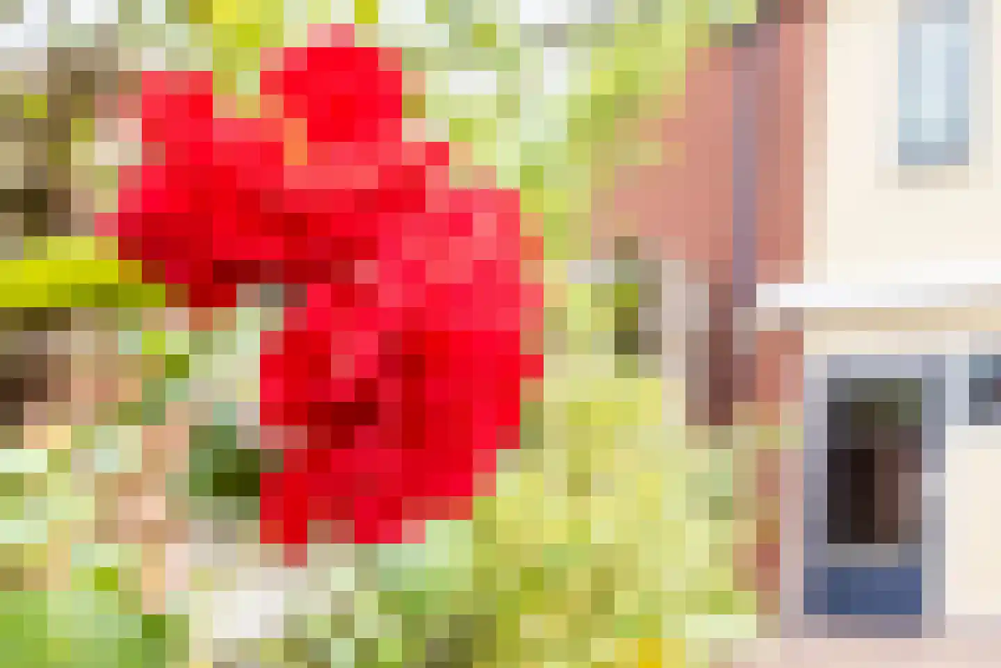 Fazantplein 33 Silvolde thumbnail 33