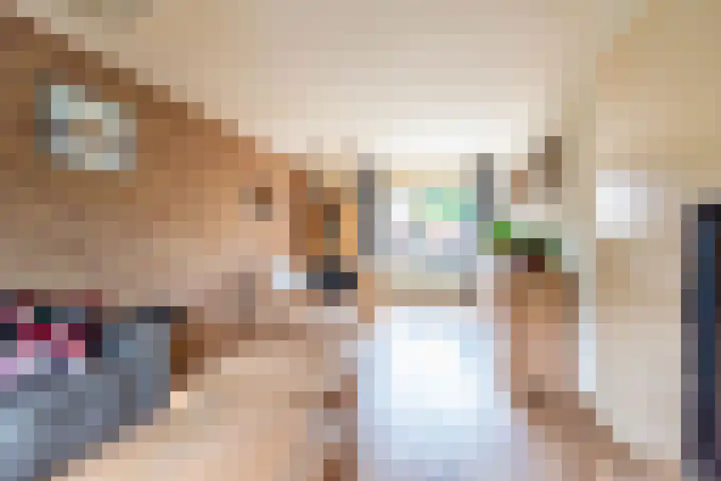Fazantplein 33 Silvolde thumbnail 8
