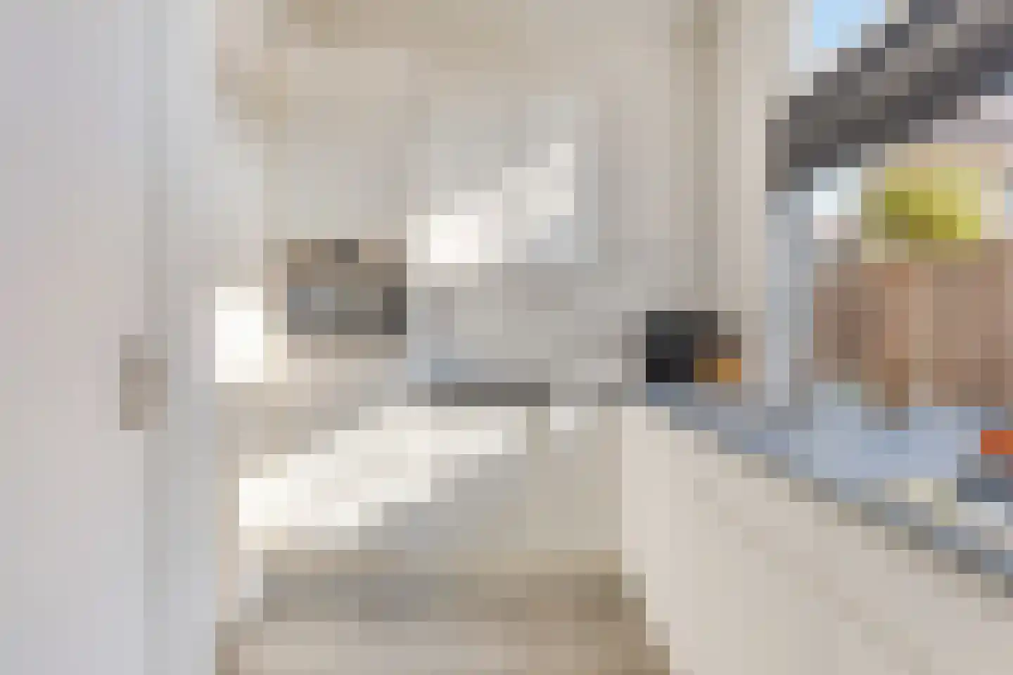 Fazantstraat 1 Breda thumbnail 11