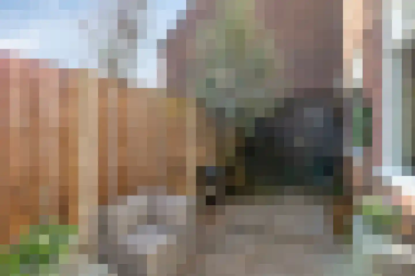 Fazantstraat 1 Breda thumbnail 19