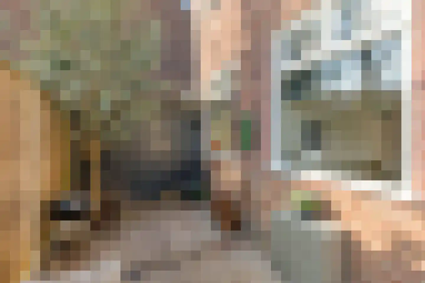 Fazantstraat 1 Breda thumbnail 20