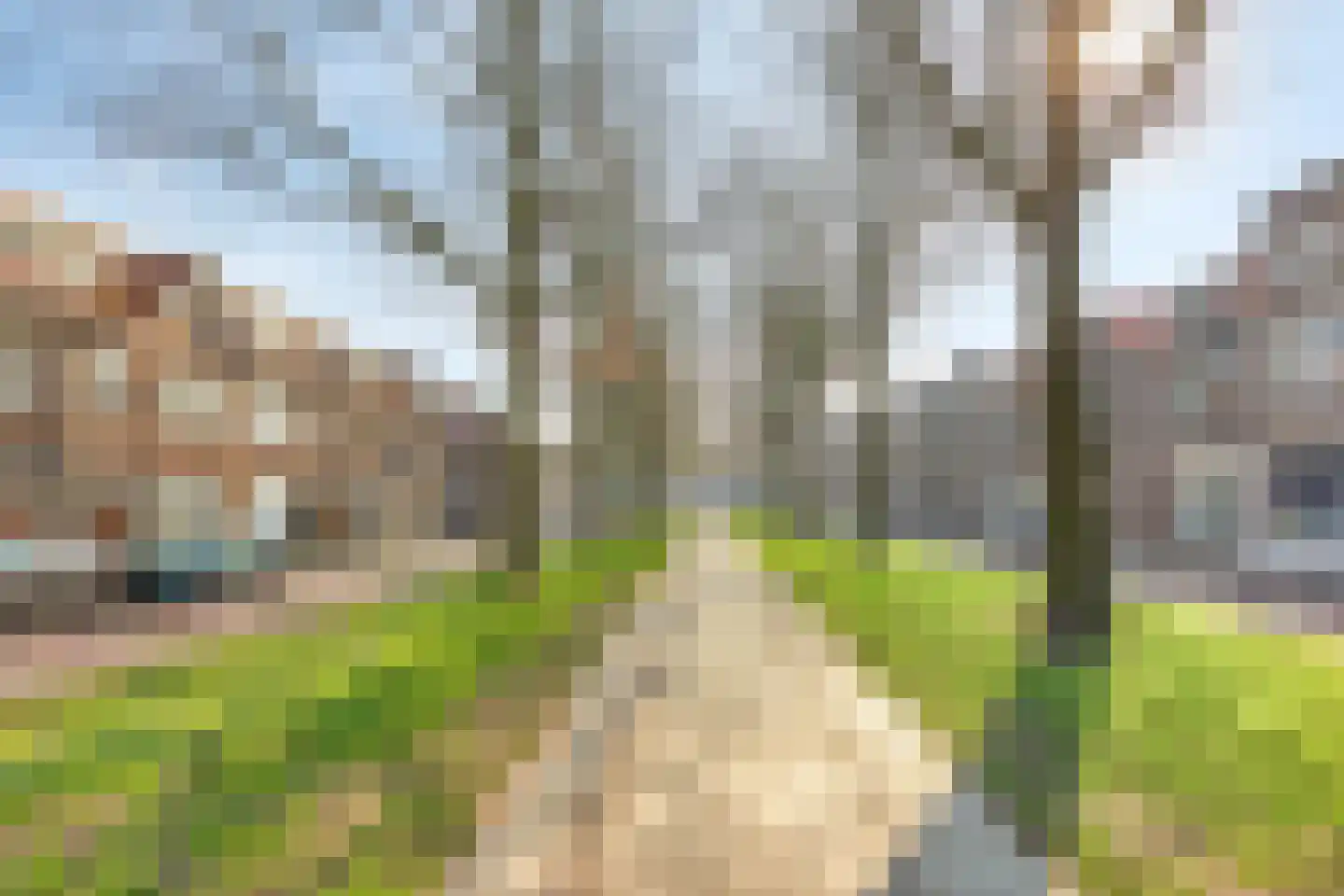 Fazantstraat 1 Breda thumbnail 22