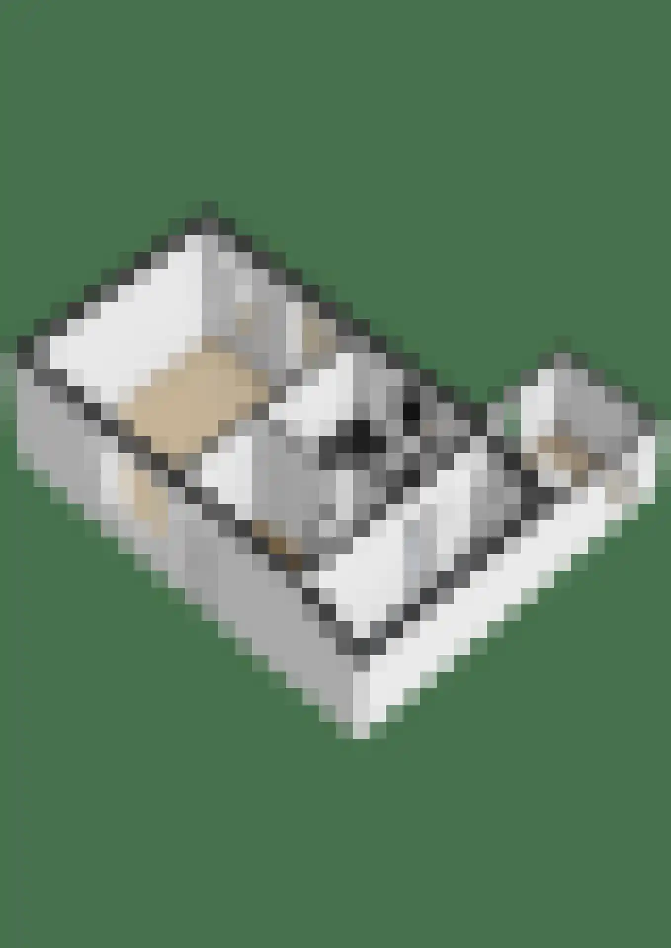 Fazantstraat 1 Breda thumbnail 25