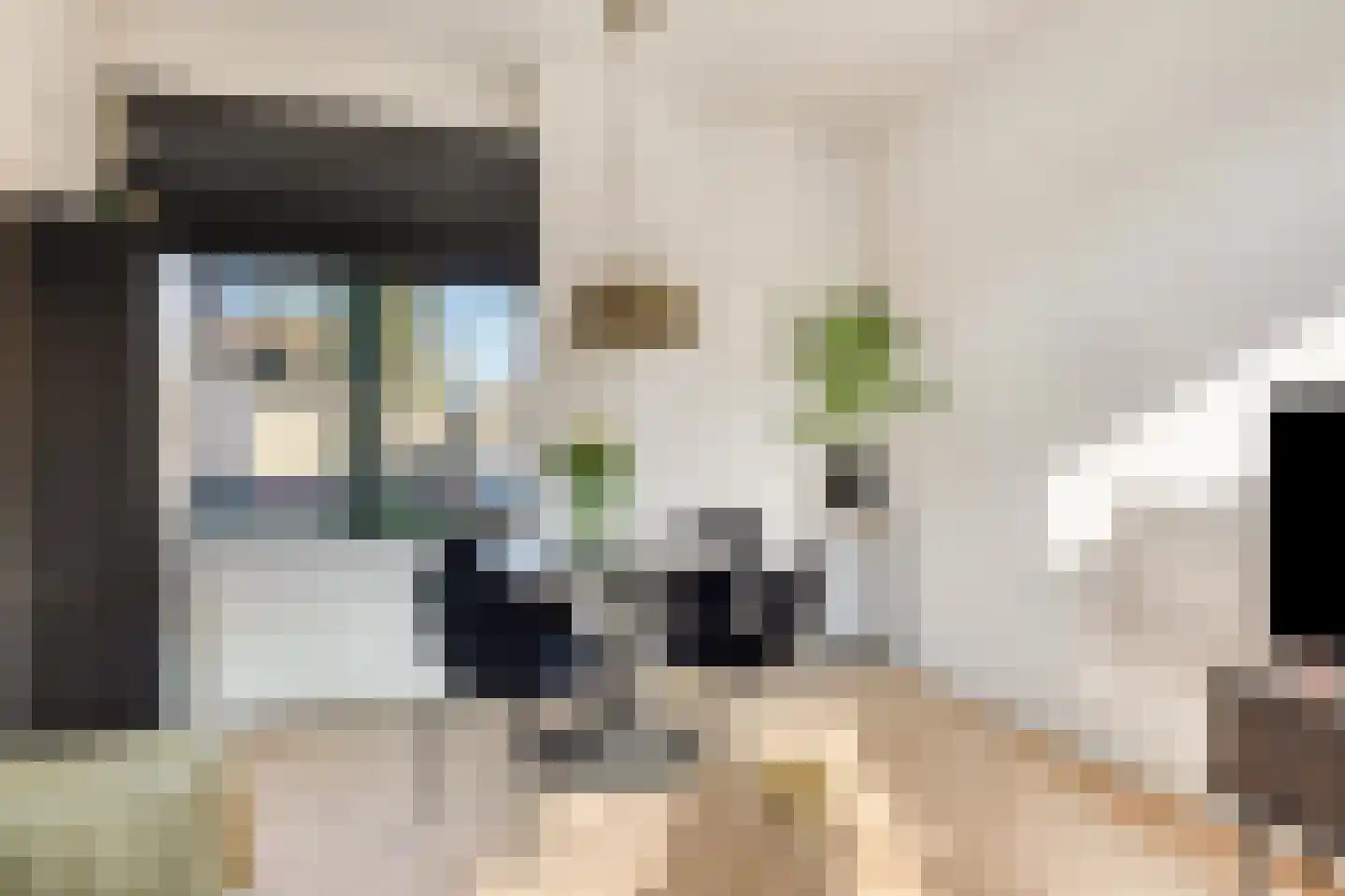 Fazantstraat 1 Breda thumbnail 9