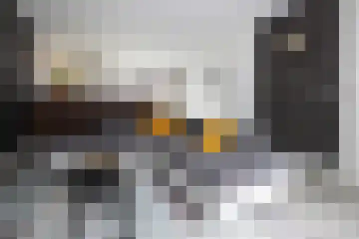 Fazantstraat 10 Alkmaar thumbnail 11