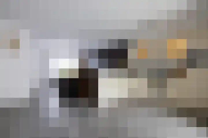 Fazantstraat 10 Alkmaar thumbnail 12