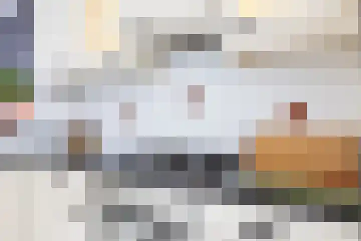 Fazantstraat 10 Alkmaar thumbnail 15
