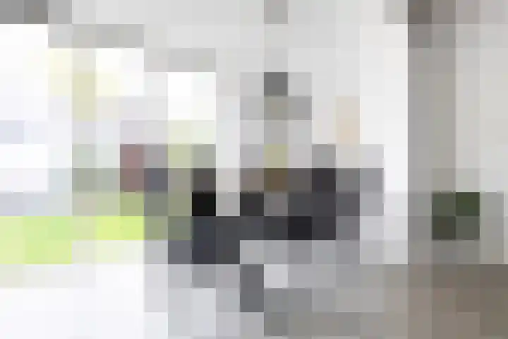 Fazantstraat 10 Alkmaar thumbnail 16