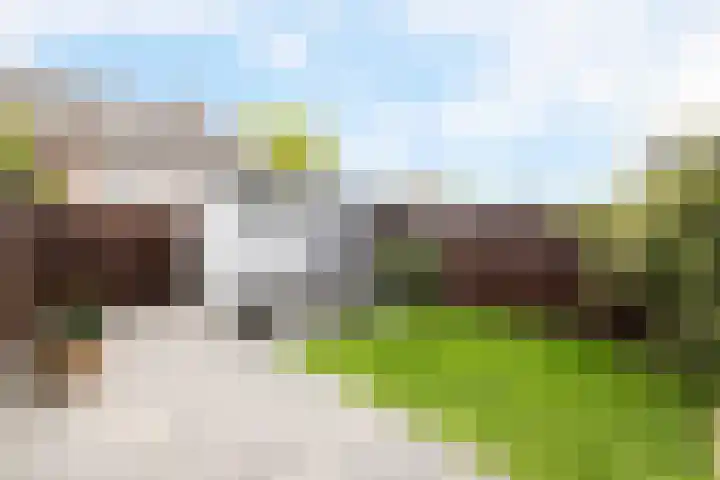 Fazantstraat 10 Alkmaar thumbnail 20