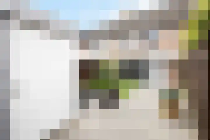 Fazantstraat 10 Alkmaar thumbnail 22