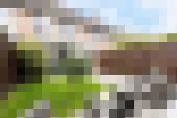 Fazantstraat 10 Alkmaar thumbnail 23