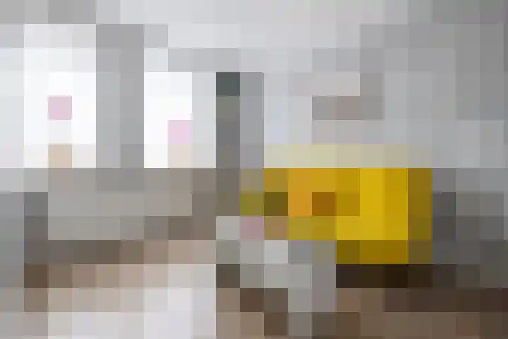 Fazantstraat 10 Alkmaar thumbnail 30