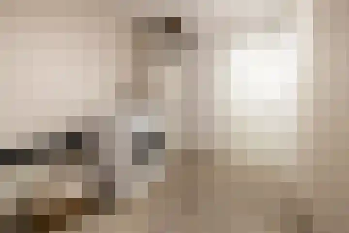 Fazantstraat 10 Alkmaar thumbnail 36