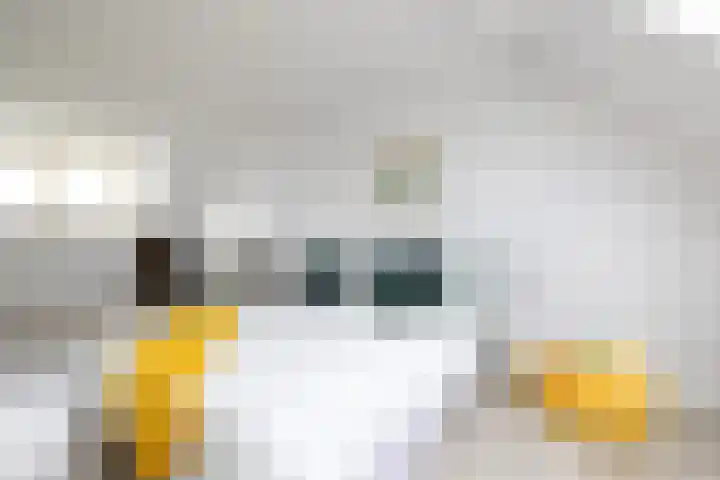 Fazantstraat 10 Alkmaar thumbnail 37