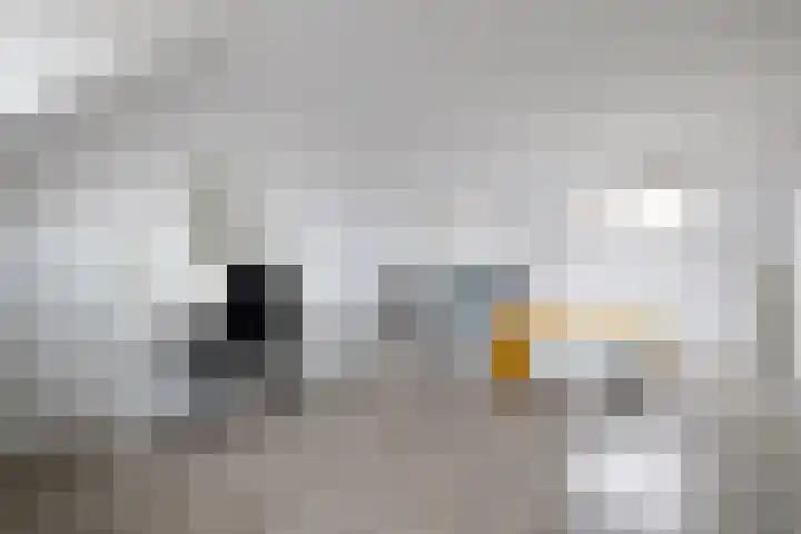Fazantstraat 10 Alkmaar thumbnail 38