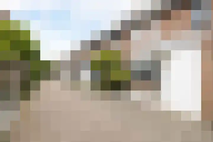 Fazantstraat 10 Alkmaar thumbnail 40